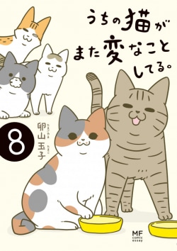 うちの猫がまた変なことしてる。８