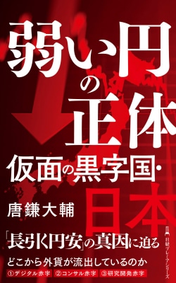 弱い円の正体　仮面の黒字国・日本