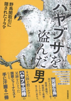 ハヤブサを盗んだ男――野鳥闇取引に隠されたドラマ