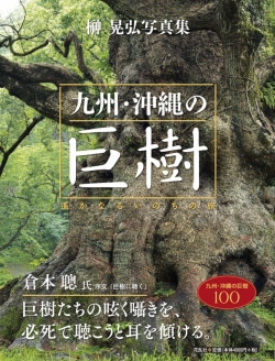 九州・沖縄の巨樹
