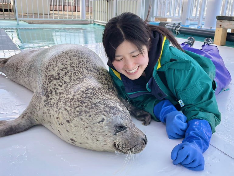 かわいいだけじゃない アザラシが抱える問題とは 日本唯一のアザラシ保護施設で働く飼育員の想い インタビュー Book Bang ブックバン