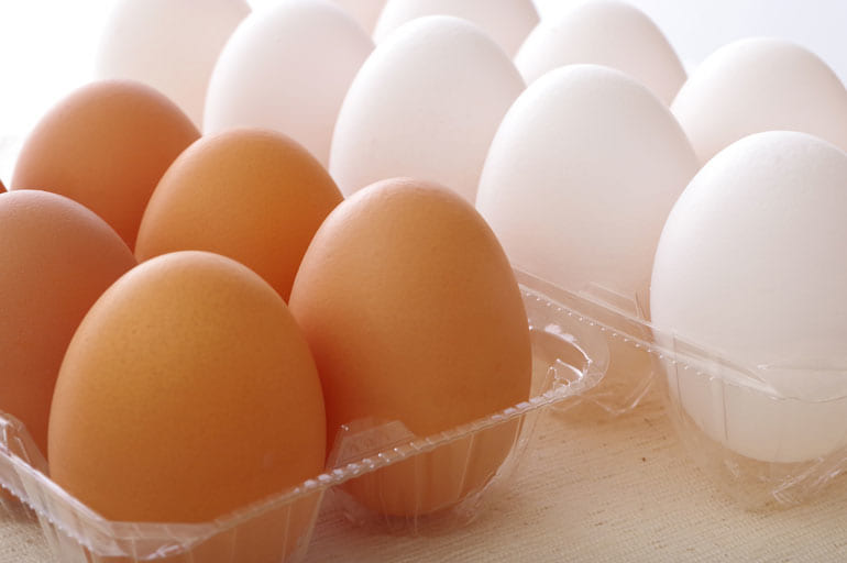 5000億個の卵」が買えた値段で「1個の卵」しか買えなくなったドイツ……100年前の人々の反応とは | レビュー | Book Bang －ブックバン－