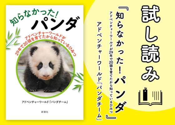 【試し読み】『知らなかった！ パンダ　アドベンチャーワールドが29年で20頭を育てたから知っているひみつ』